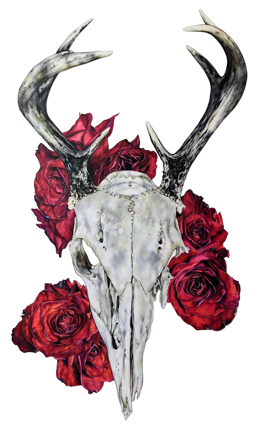 Deer Skull with Red Roses
