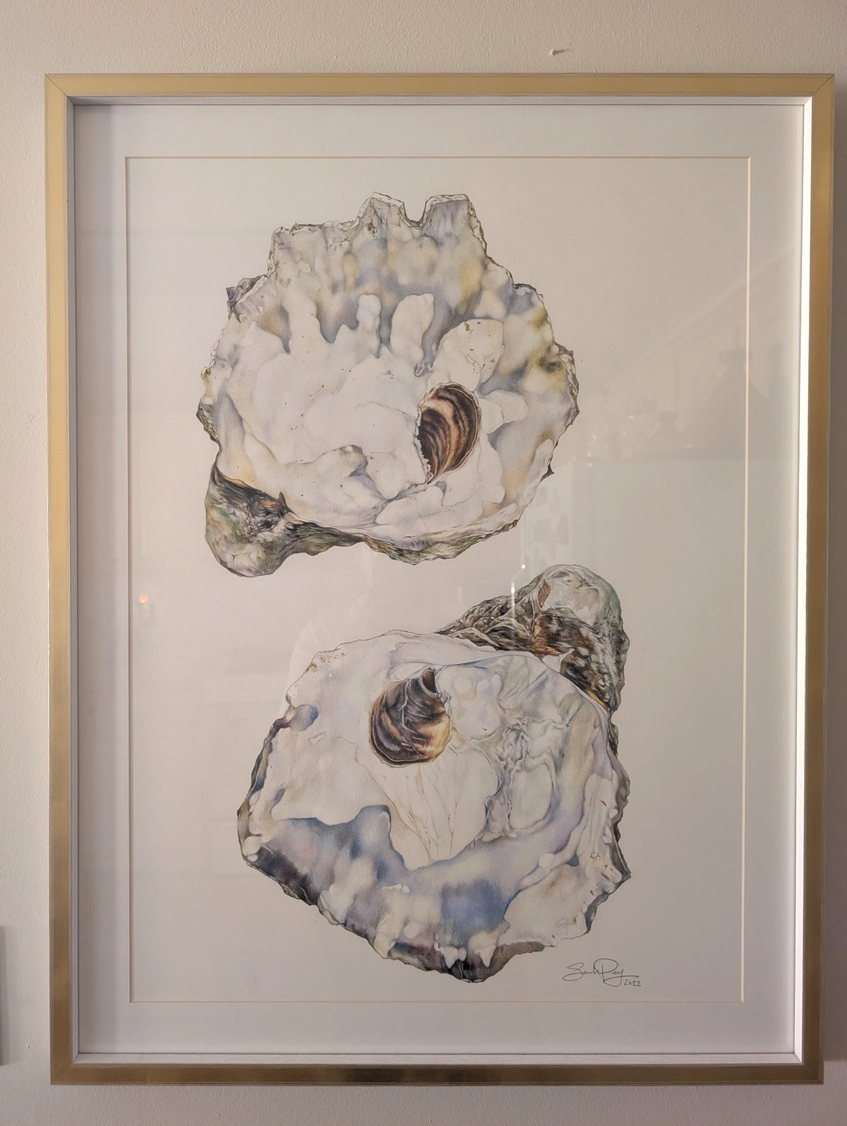 Kumomoto Oysters - Original