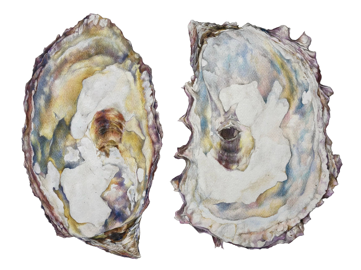 Oyster Pair