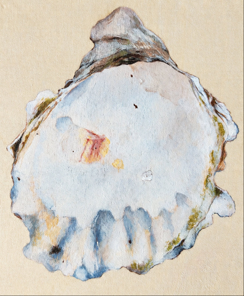 Laguna Beach Shell