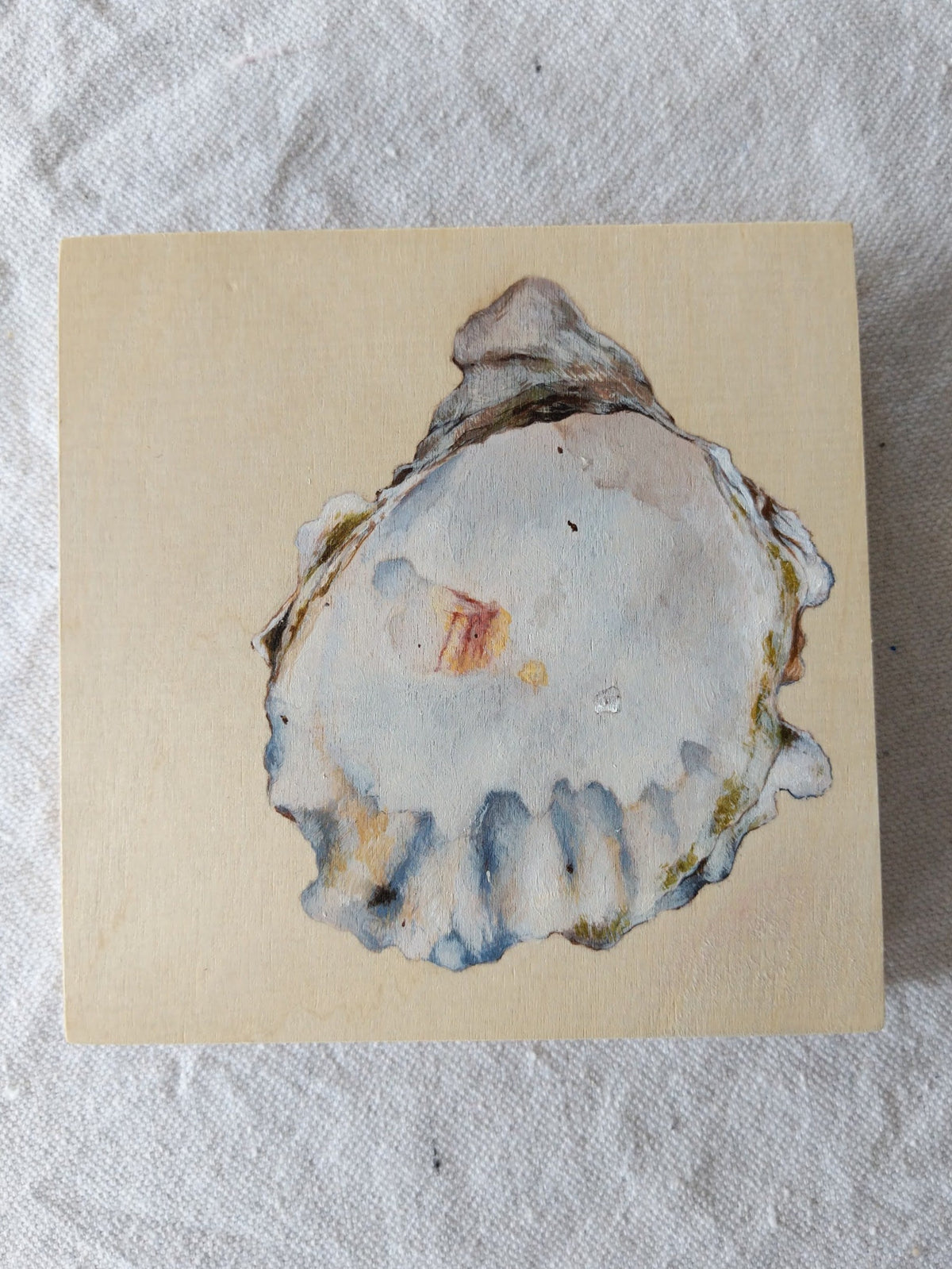 Laguna Beach Shell