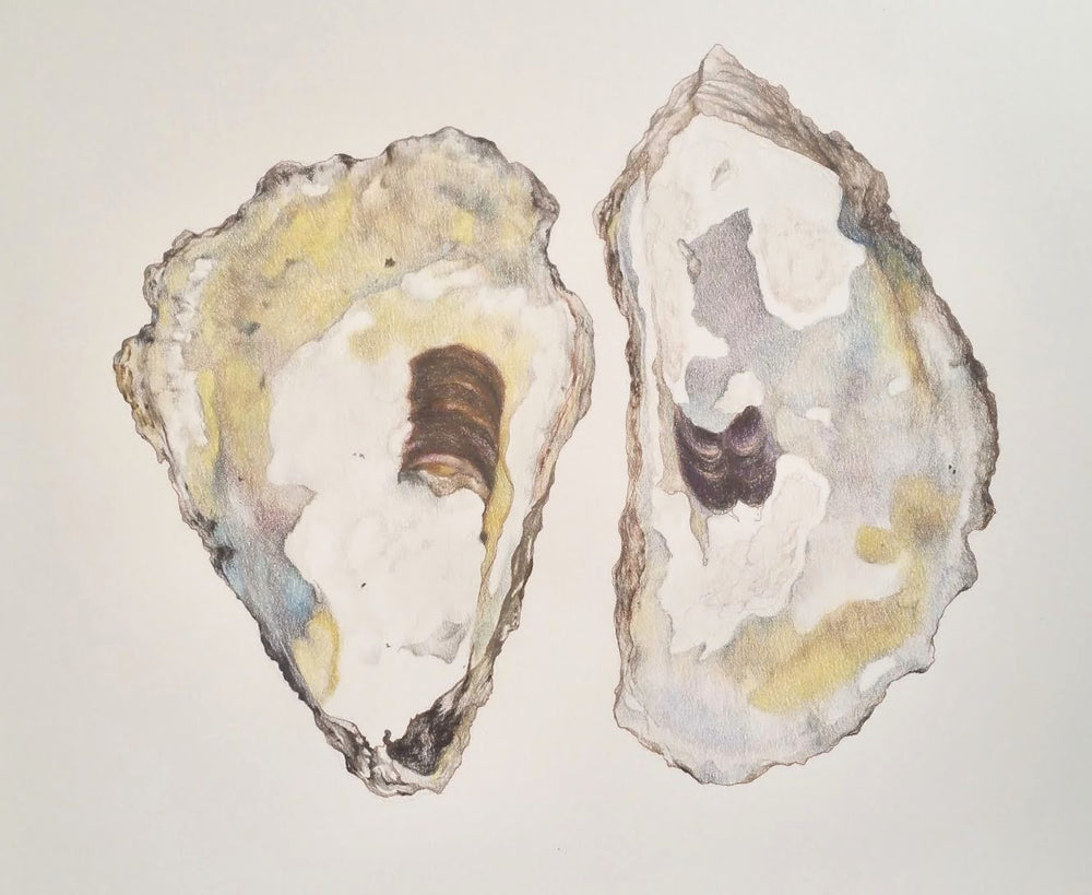 Oyster Farmer