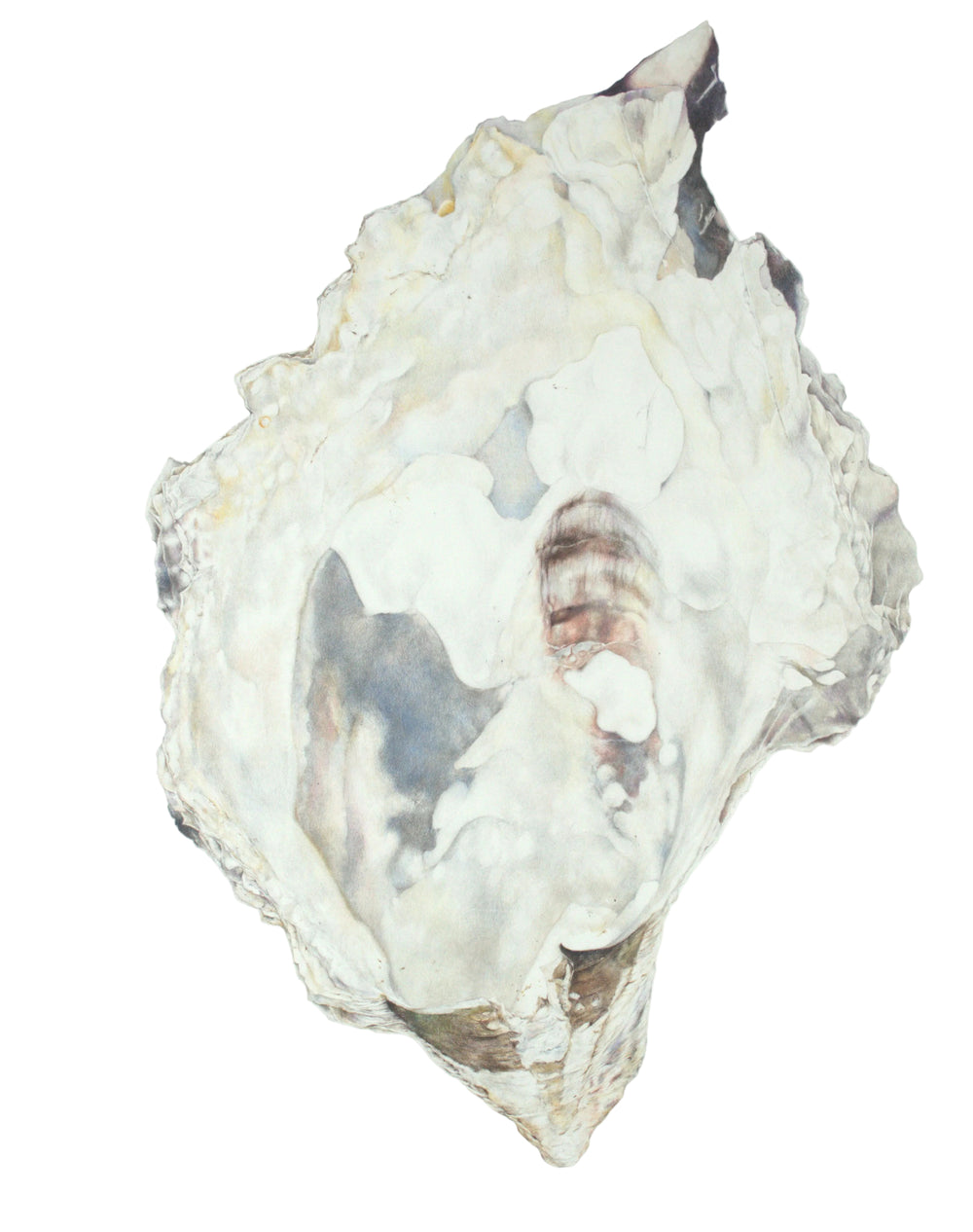 Redondo Beach Oyster - Original Artwork