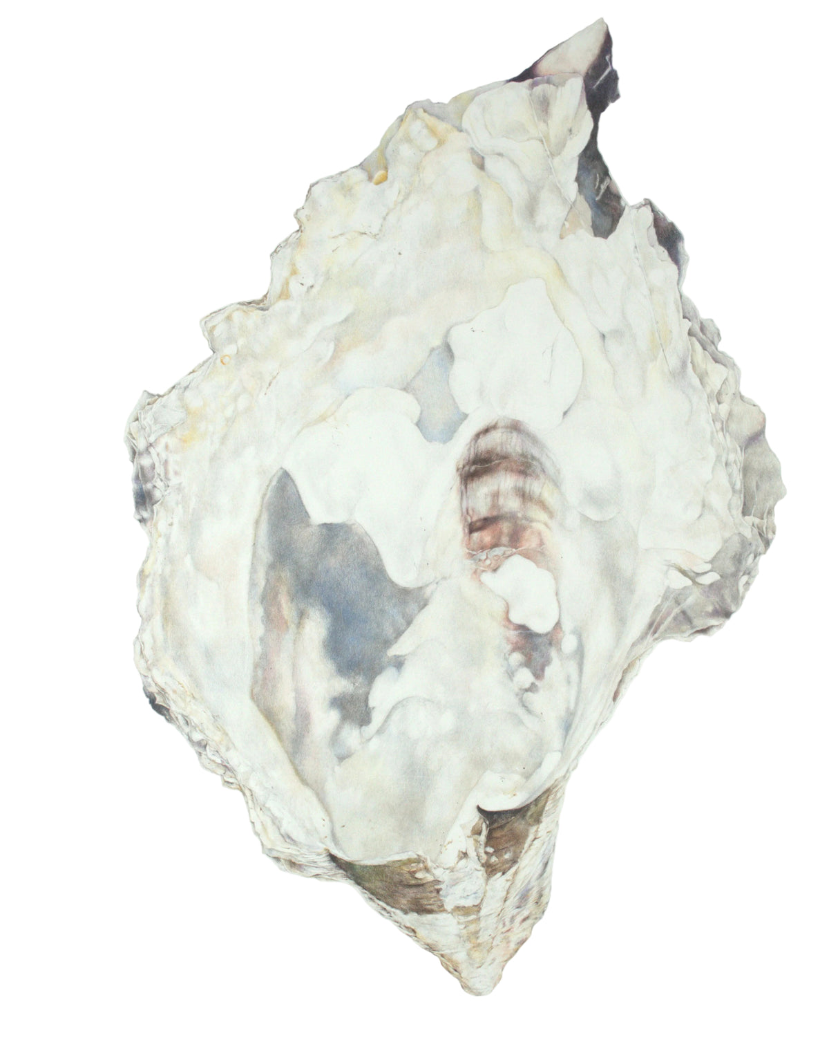 Redondo Beach Oyster - Original Artwork